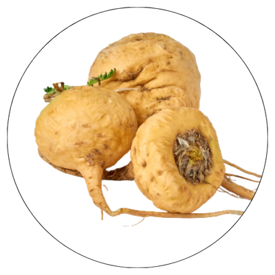 Maca Root Extract
